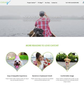 Web Design & Theme Install