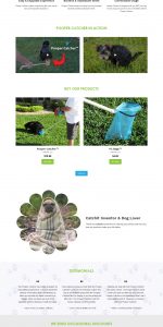 [shopify]-catchit-co-design-&-developmenet