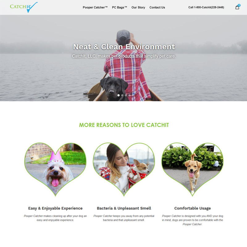 Web Design & Theme Install